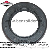 399781S Сальник Briggs & Stratton
