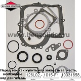690189 Комплект уплотнительный Briggs & Stratton