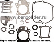 592173 Комплект уплотнительный Briggs & Stratton