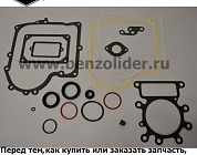 691580 Комплект уплотнительный Briggs & Stratton