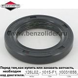 710215 Сальник Briggs & Stratton