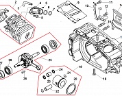 1 ПОРШЕНЬ - ЦИЛИНДР - КАРТЕР - КОЛЕНВАЛ - САЛЬНИК БЕНЗОПИЛА ECHO CS-360TES