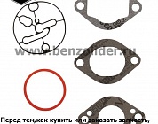 Ремкомплект карбюратора Briggs & Stratton 696146