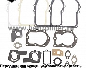 495605 Комплект уплотнительный Briggs & Stratton