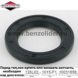 692550 Сальник Briggs & Stratton