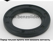 692550 Сальник Briggs & Stratton