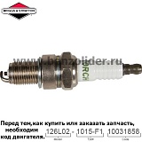 Свеча зажигания Briggs & Stratton 798615