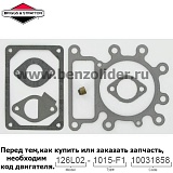 796189 Комплект уплотнительный Briggs & Stratton