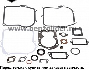 590777 Комплект уплотнительный Briggs & Stratton