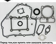 793623 Комплект уплотнительный Briggs & Stratton