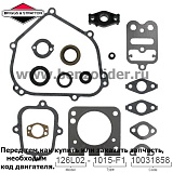 698216 Комплект уплотнительный Briggs & Stratton