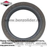391086S Сальник Briggs & Stratton