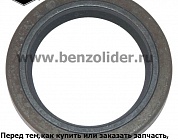 391086S Сальник Briggs & Stratton