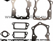 590507 Комплект уплотнительный Briggs & Stratton