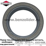 299819S Сальник Briggs & Stratton