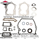 590508 Комплект уплотнительный Briggs & Stratton