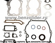 590508 Комплект уплотнительный Briggs & Stratton
