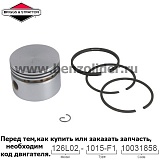 Поршень Briggs & Stratton 298906