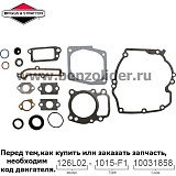 496055 Комплект уплотнительный Briggs & Stratton