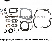 496055 Комплект уплотнительный Briggs & Stratton