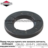 692020 Сальник Briggs & Stratton