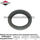 294606S Сальник Briggs & Stratton