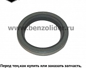 294606S Сальник Briggs & Stratton