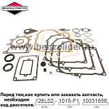 495993 Комплект уплотнительный Briggs & Stratton