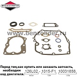 496117 Комплект уплотнительный Briggs & Stratton