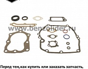 496117 Комплект уплотнительный Briggs & Stratton